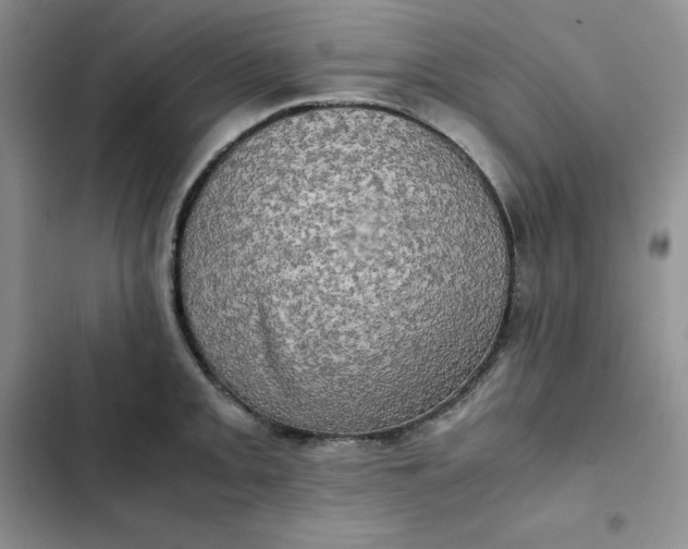 X0000102521093200808221836