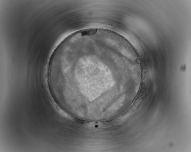 X0000102521094200808221836