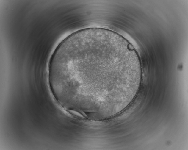 X0000102521096200808221836