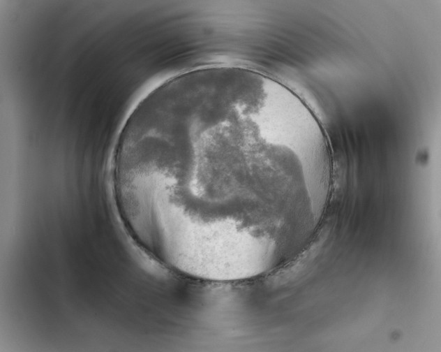 X0000102521098200808221836