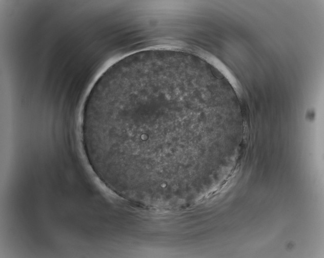 X0000102521099200808221836