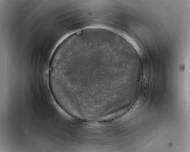 X0000102521100200808221836