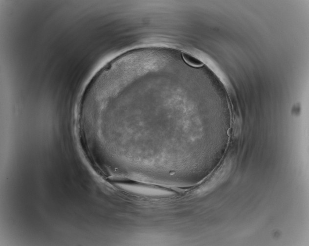 X0000102521101200808221836