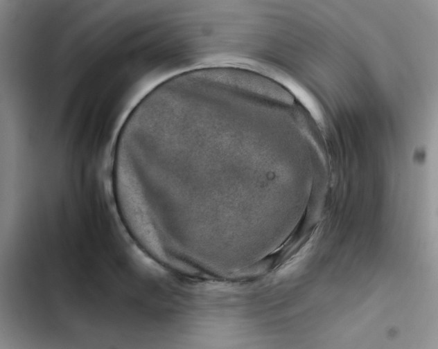 X0000102521102200808221836