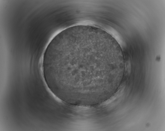 X0000102521103200808221836