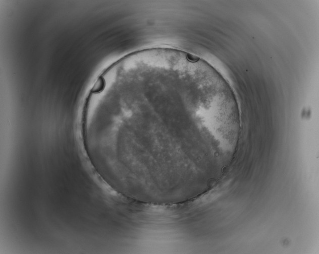 X0000102521104200808221836