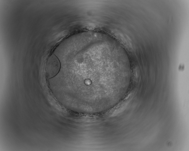 X0000102521105200808221835