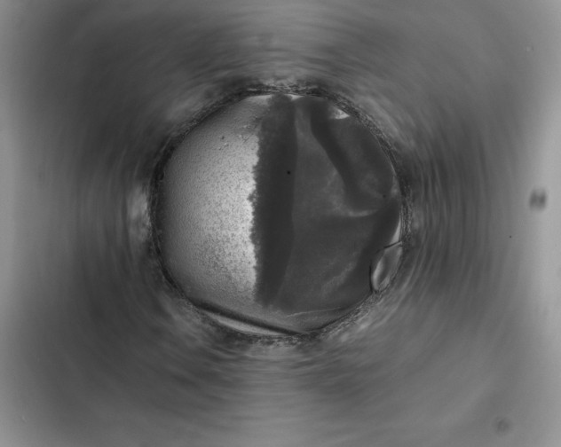 X0000102521106200808221835