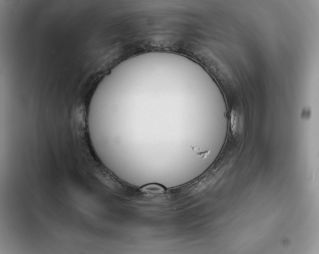 X0000102521107200808221835