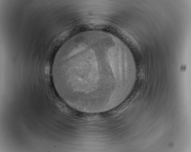 X0000102521108200808221835