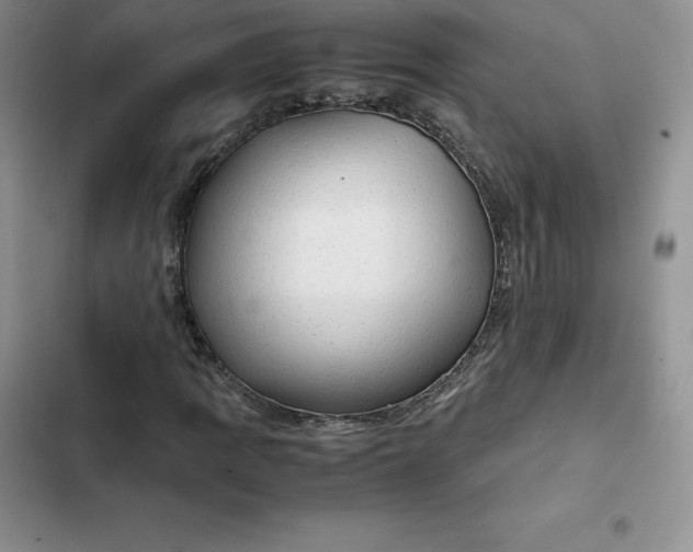 X0000102521109200808221835