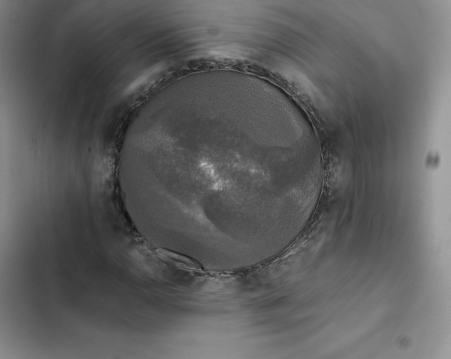 X0000102521110200808221835