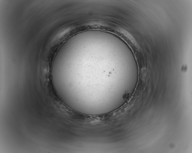 X0000102521111200808221835