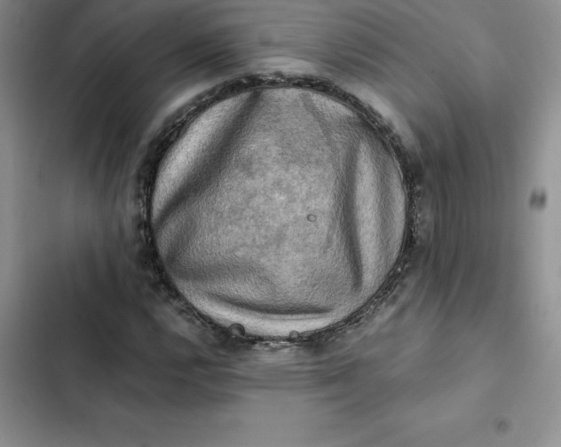 X0000102521112200808221835