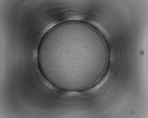 X0000102521113200808221835