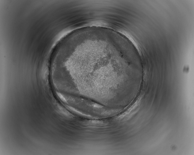 X0000102521115200808221835