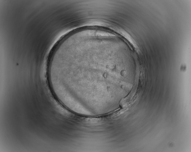 X0000102521116200808221835