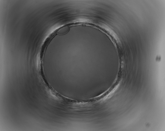 X0000102521117200808221835