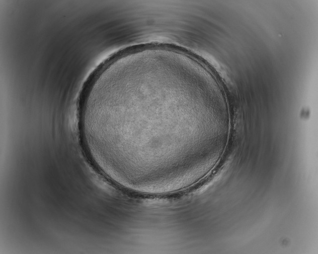 X0000102521118200808221835