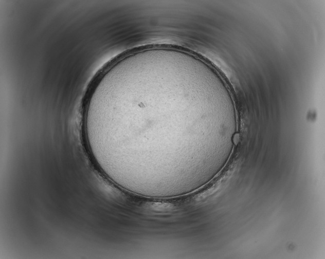 X0000102521119200808221835