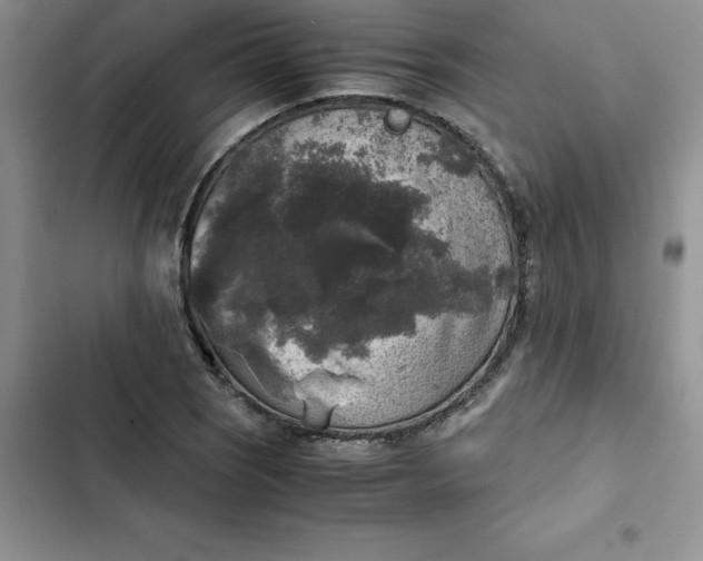 X0000102521121200808221835