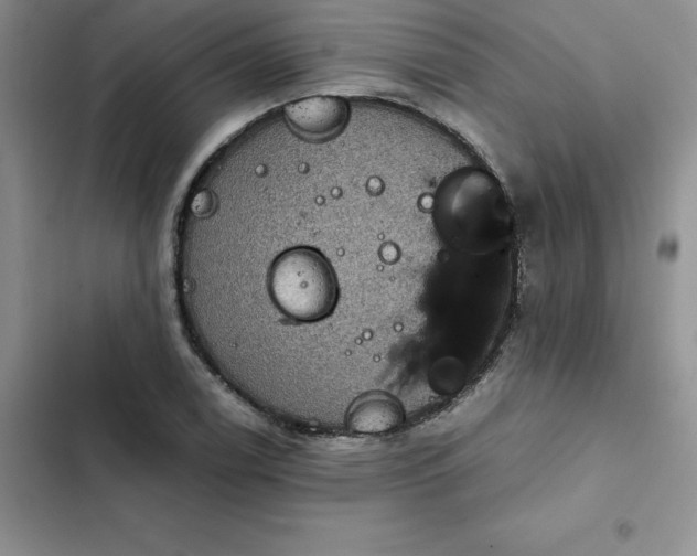 X0000102521122200808221835