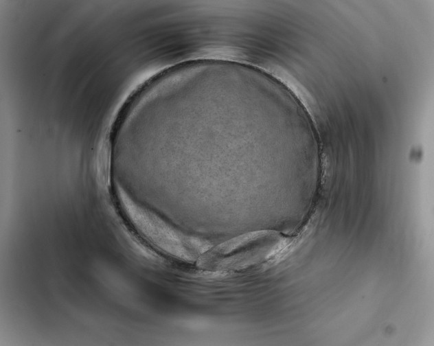 X0000102521123200808221835