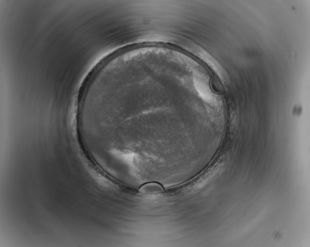 X0000102521124200808221835