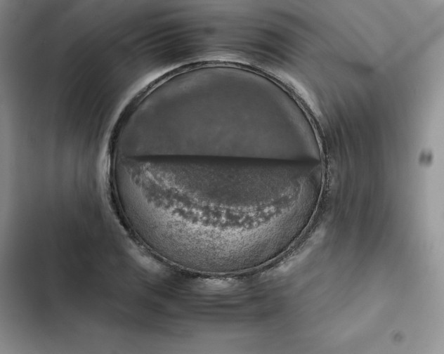 X0000102521125200808221835