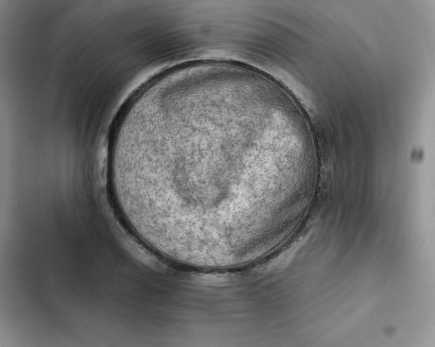 X0000102521126200808221835