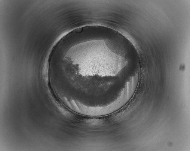 X0000102521127200808221835