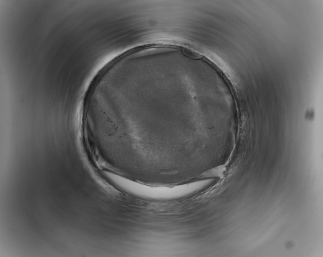 X0000102521128200808221835