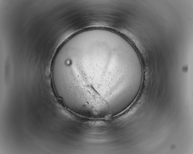 X0000102521129200808221835