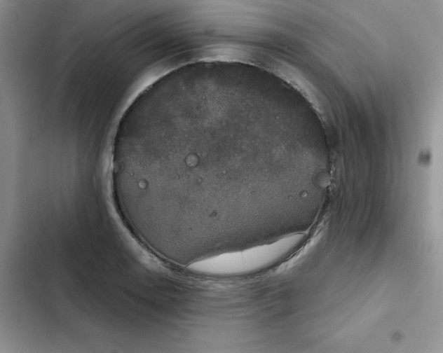 X0000102521130200808221835