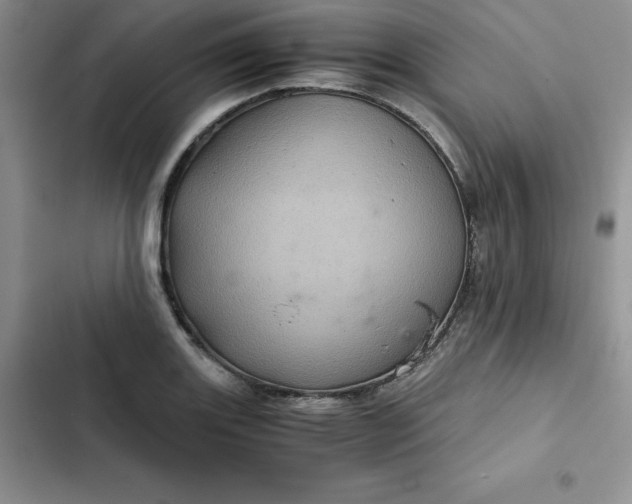 X0000102521131200808221835