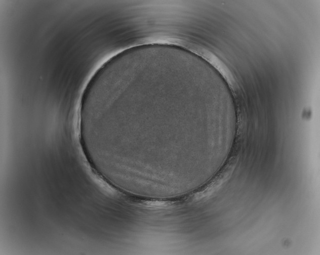 X0000102521132200808221835