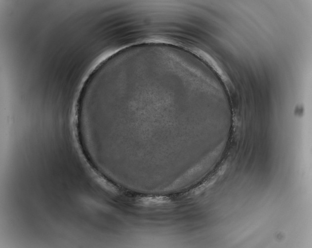 X0000102521133200808221835