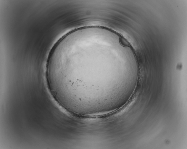 X0000102521134200808221835