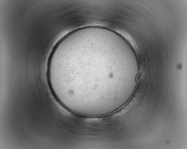 X0000102521135200808221835