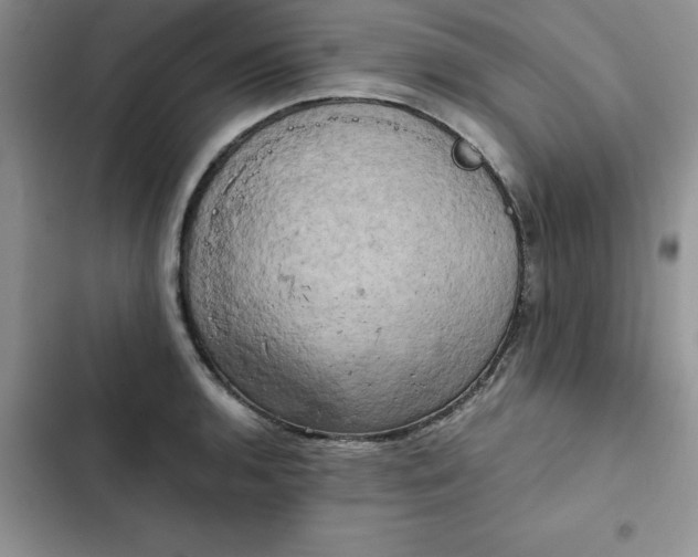 X0000102521136200808221835