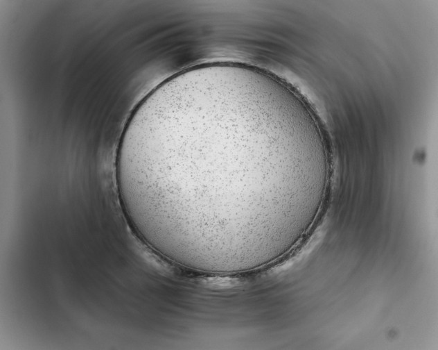 X0000102521137200808221835