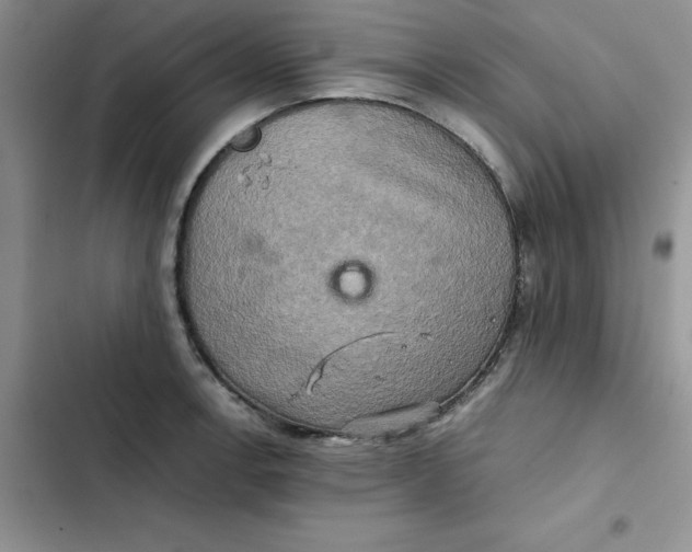 X0000102521138200808221835