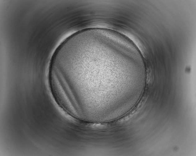 X0000102521139200808221835