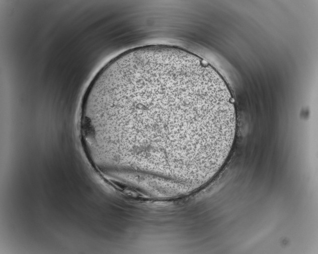 X0000102521140200808221835