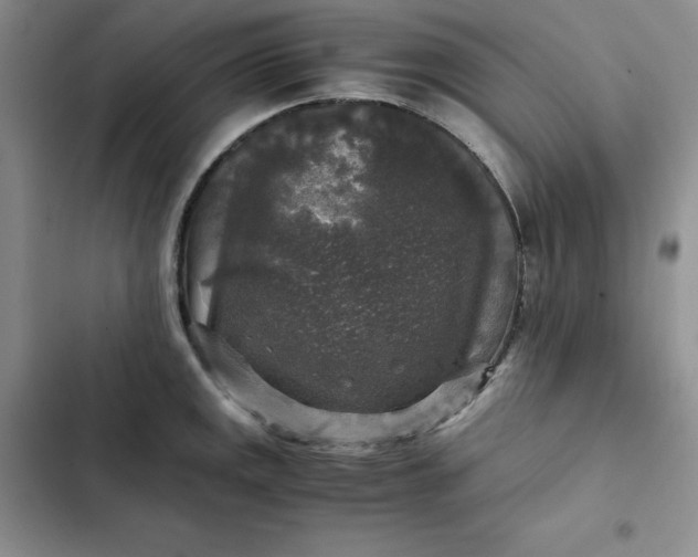 X0000102521141200808221835