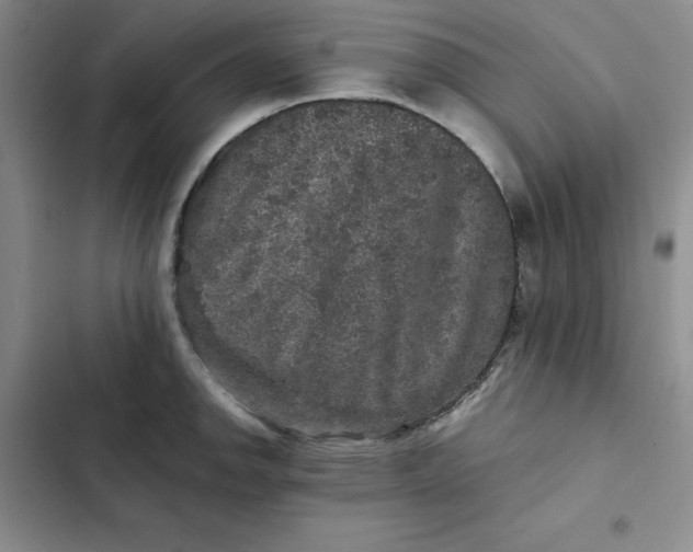 X0000102521142200808221835