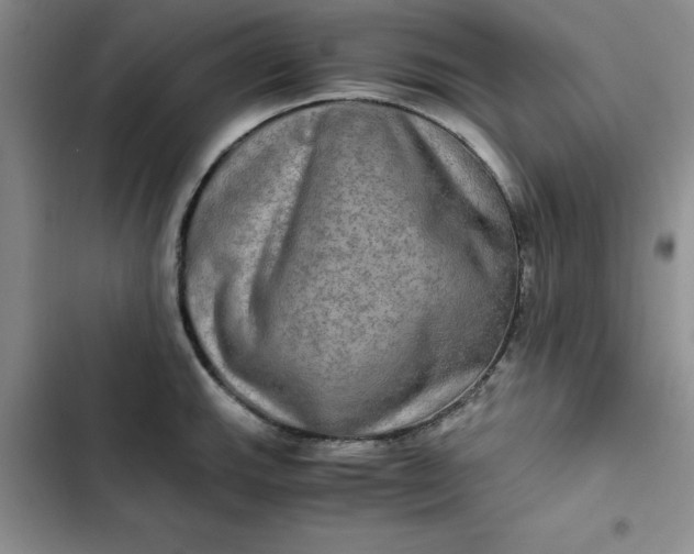 X0000102521143200808221835