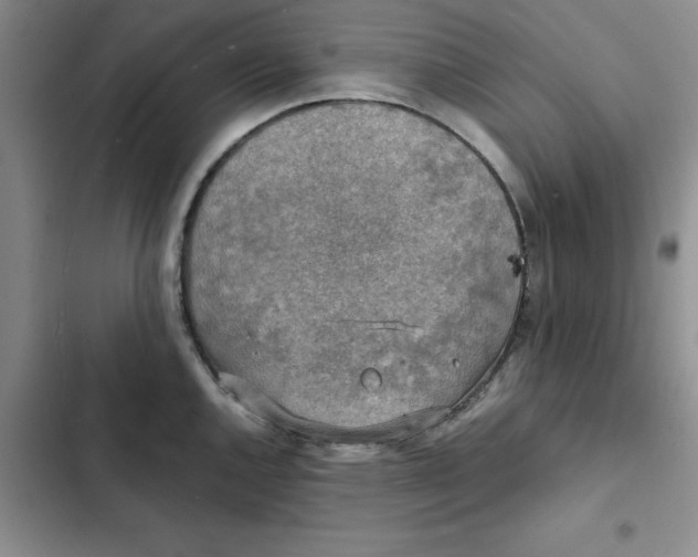 X0000102521144200808221835