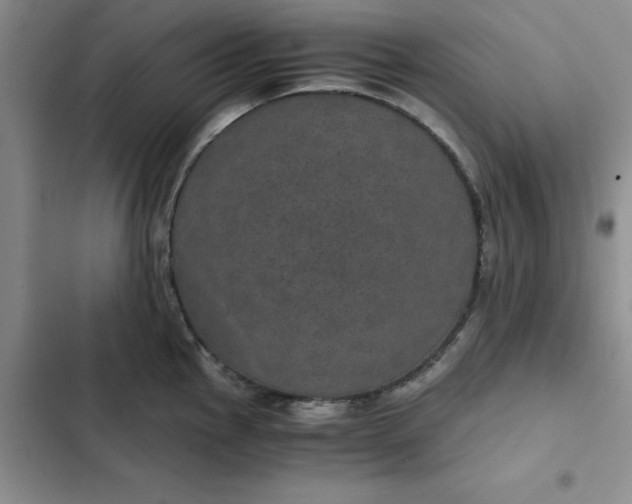 X0000102521145200808221835