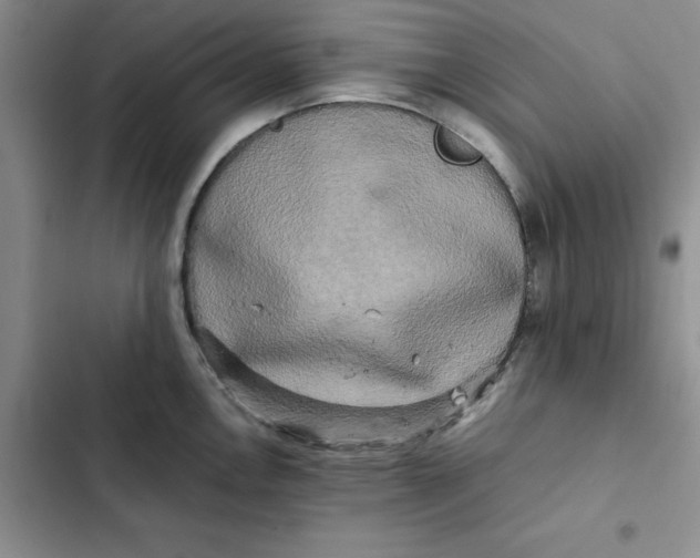 X0000102521146200808221835